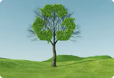 Cooperation in Recycling